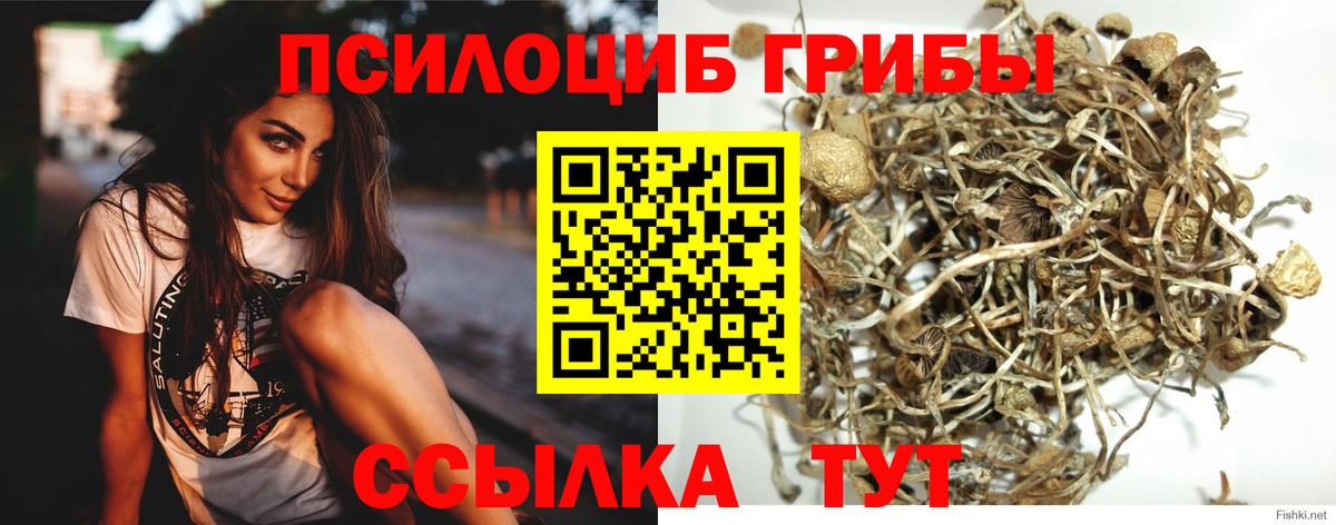 Галлюциногенные грибы MAGIC MUSHROOMS  Вход с VPN  Вышний Волочёк  как найти закладки  Галлюциногенные грибы GOLDEN TEACHER 